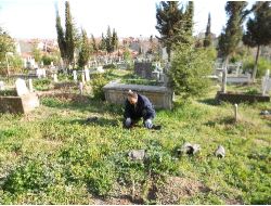 Uşak'ta Mezarlıklara Binlerce Fidan Dikiliyor