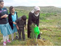 Bahar Koleji Öğrencileri 250 Fidan Dikti