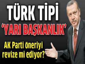 TÜRK TİPİ BAŞKANLIK