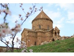 Akdamar Adası Badem Çiçekleriyle Süslendi