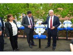 Belediye 50 Noktaya Sokak Hayvanları İçin Suluk Yerleştirdi