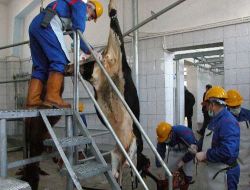 Kars Belediye Mezbahanesi Törenle Açıldı