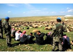 4 Bin Küçükbaş Kaçak Hayvan Ele Geçirildi