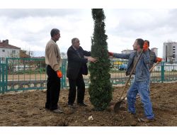 Hükümlüler, Fidan Dikerek İlçeyi Yeşillendiriyor
