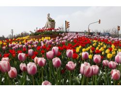 Gaziantep 2 Milyon 300 Bin Çiçekle Renklenecek