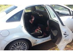 Otlayan Hayvanları Öldürüp Etlerini Kasaba Satanlar Tutuklandı