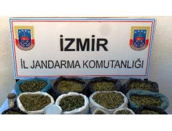 Jandarmadan Uyuşturucu Operasyonu