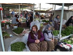 Madımak Merzifon Pazarlarında Görülmeye Başladı