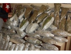 Adana'da 5 ayda 7.5 ton uyuşturucu ele geçirildi