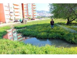 Edremit Belediyesi Haşere Mücadelesi Başlattı