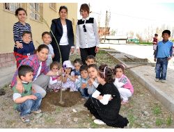 Hasköy Menekşe Anaokulu Öğrencileri Fidan Dikti