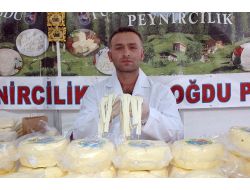 Türkiye’nin Peynir Çeşitleri Bu Festivalde