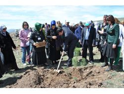 Ak Partili Kadınların Hedefi 100 Bin Fidan Dikimi