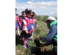 Minikler, Hatıra Ormanı Oluşturdu