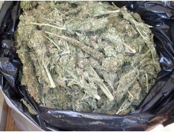 Sedef 10 Kilo Esrarın Yerini Tespit Etti