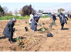 Kadın Kent Gönüllüleri, Fidanlık Oluşturdu