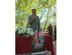 "Kutlu Doğum Haftası Barış Ve Kardeşlik İçin Bir Fırsat"