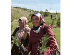 Yağmur Derneği, Toprakla Fidanı Buluşturdu