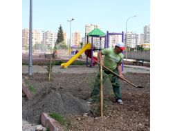 Çukurova'da Parklar Yenileniyor