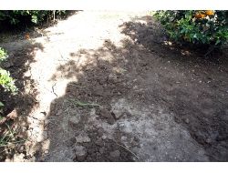 Polis Adana'da Define İçin İşlenmiş Cinayeti 10 Ay Sonra Çözdü