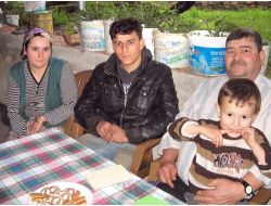 Görevde Bir Atın Yaraladığı Asker, Tazminat Davasını Kaybedince İcralık Oldu