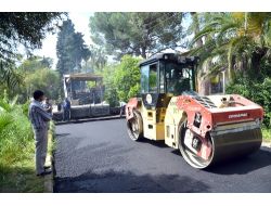 Tarım İl Müdürlüğü’nün Yolları Asfaltlandı