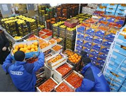 Türkiye’den Rusya’ya Gıda Sevkiyatında Gürcistan Yeniden Transit Ülke Olacak