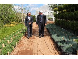 Vali Kocatepe Belediye Serasını İnceledi