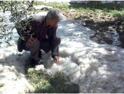 Mersin'de Dolu Yağışı Ekili Arazilerde Zarara Neden Oldu