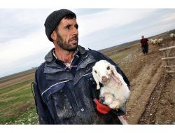 Çobanlar Sosyal Güvenceye Kavuşuyor