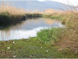 Belediye, Durgun Su Birikintilerini Temizliyor