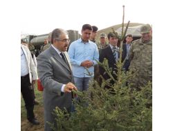 Muş'ta Gül'ün Ziyaretinin Anısına 5 Bin Fidan Dikildi