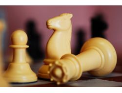 Elazığ Fem'den Satranç Turnuvası