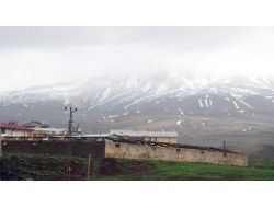 BİTLİS’E NİSAN KARI SÜRPRİZİ