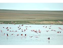 Kuruduğu İçin Kuşların Terk Ettiği Düden Gölü Yeniden Eski İhtişamına Kavuşuyor