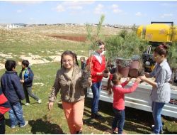 Suriyeliler İlgiye Karşılıksız Kalmadı, ‘memnuniyet Ormanı’ Oluşturdu