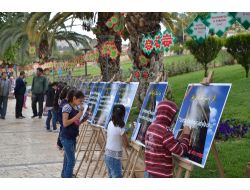 Balıklıgöl'de Kutlu Doğum Sokağı Açıldı