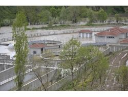 Samsun’da Arıtma Tesisini Su Bastı, Ladik’te 6 Koyun Telef Oldu