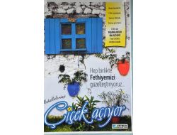 Fethiye'de Mahalleler Begonvil Ve Sardunya Çiçekleri Açacak