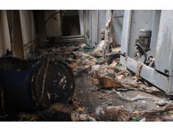 Çiftlik Yangını 80 Bin Tavuk Telef