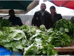 Kış Geri Geldi, Meyve Ve Sebzeler Kar Altında Kaldı