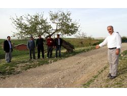 770 Sahabe Kabirinden 32'sinin Yeri Biliniyor