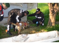 MUĞLA’DA ESRAR ELE GEÇİRİLDİ