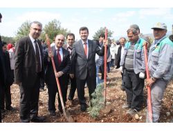 İzmir'de Kutlu Doğum İçin 5 Bin Fidan Dikildi