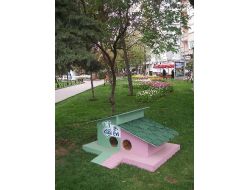 Sokak Kedileri ‘yuva’larına Kavuştu