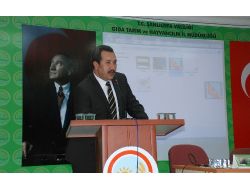 Türkiye'nin En Kaliteli Makarnalık Buğdayına Süne Tehdidi