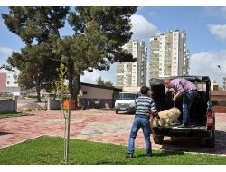 Belediyeden Hem Sokak Hem De Evcil Hayvanlara Ücretsiz Hizmet