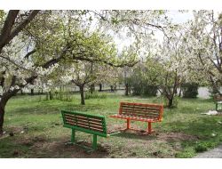 Ekşisu'nun Çehresi Değişiyor!