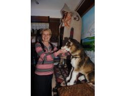 Belçikalı Folklorcu Denoz: Kültür, Ülkeler Arası Dostluk Köprüsü Kurduruyor