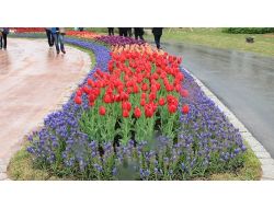 2013 Dünya Botanik Expo'ya 4 Milyon Ziyaretçi Bekleniyor